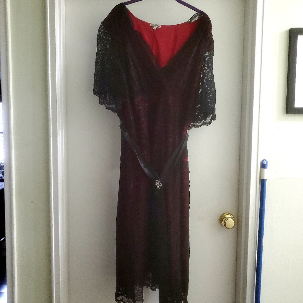 Kiyonna gorgeous dress